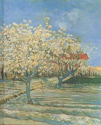 Vincent Van Gogh Orchard in Blossom (nn04) Sweden oil painting art